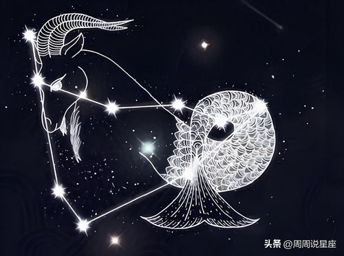 幾號什么星座,幾月幾號是星座 幾號什么星座,幾月幾號是星座