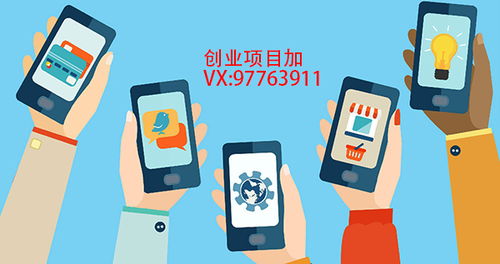 有什么致富好項(xiàng)目