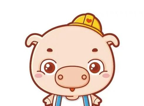 生肖豬春天運(yùn)勢(shì)如何（生肖豬在2021年的運(yùn)勢(shì)以及注意月份）