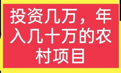 加工什么比較賺錢