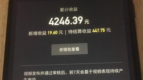 抖音有什么賺錢的項目是真的