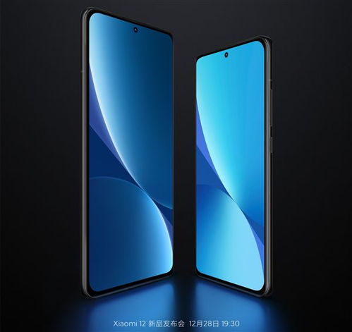 小米手機(jī)屏幕寬高怎么看型號(hào)