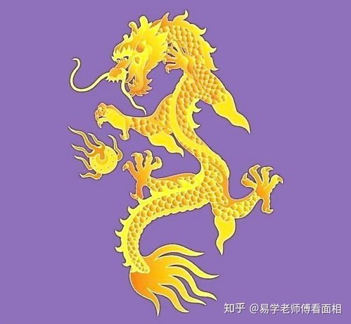 未來十年龍的運勢如何（屬龍末來十年運勢）