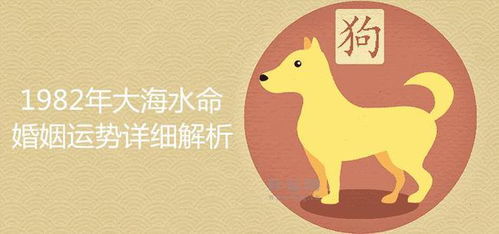 屬狗的人的運(yùn)勢(shì)如何（屬狗運(yùn)勢(shì)怎么樣）