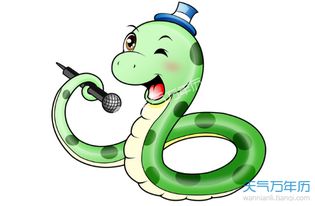 屬蛇人三年后運(yùn)勢(shì)如何（屬蛇的三年大運(yùn)是指哪三年）