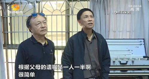 兄弟的房產(chǎn)怎么繼承給弟弟