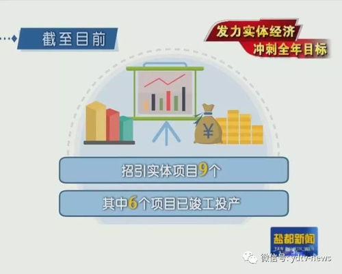 實(shí)體項(xiàng)目有哪些