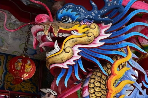 過(guò)年玩龍有什么講究