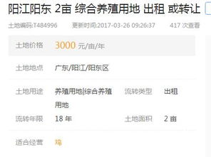 美工做什么項(xiàng)目賺錢快呢