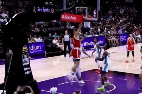 楊瀚森NBA首秀填滿數(shù)據(jù)欄(楊翰笙個(gè)人介紹)