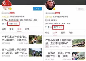 在村里做什么項(xiàng)目賺錢多一點(diǎn)