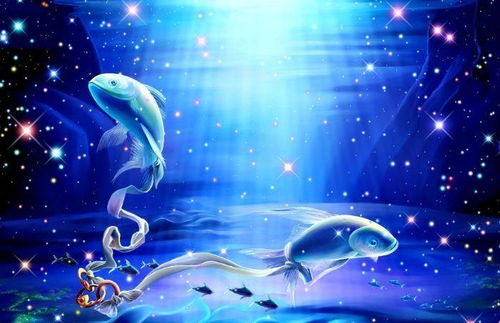 天平女和哪個(gè)星座在一起比較好