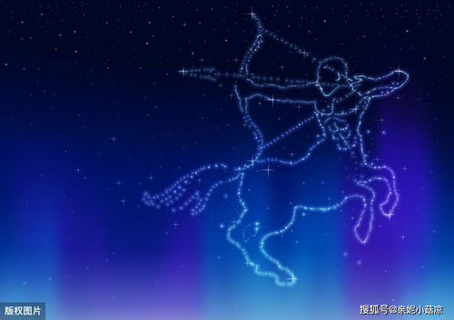 哪個星座最人風(fēng)