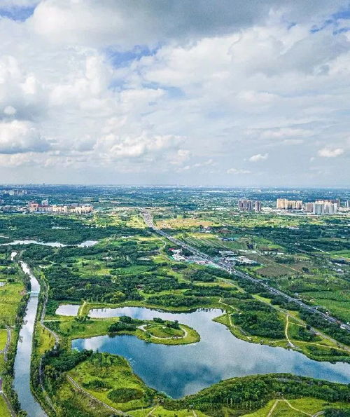 青龍湖在哪兒