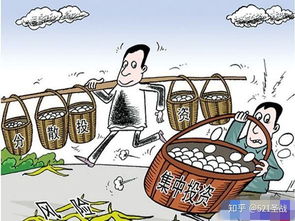 做什么項(xiàng)目能賺錢風(fēng)險(xiǎn)小的