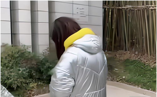 張雅婷是什么意思