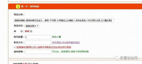 兄弟能做什么項(xiàng)目賺錢多呢