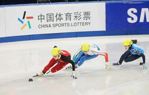 競技 體育