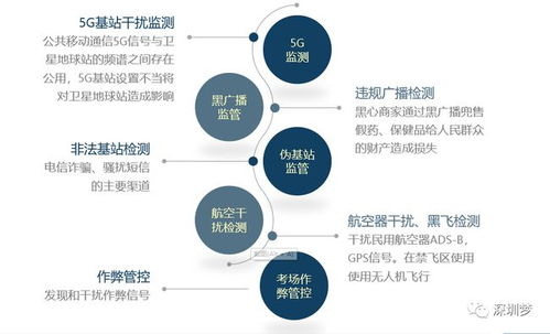 國外領先的賺錢項目叫什么來著