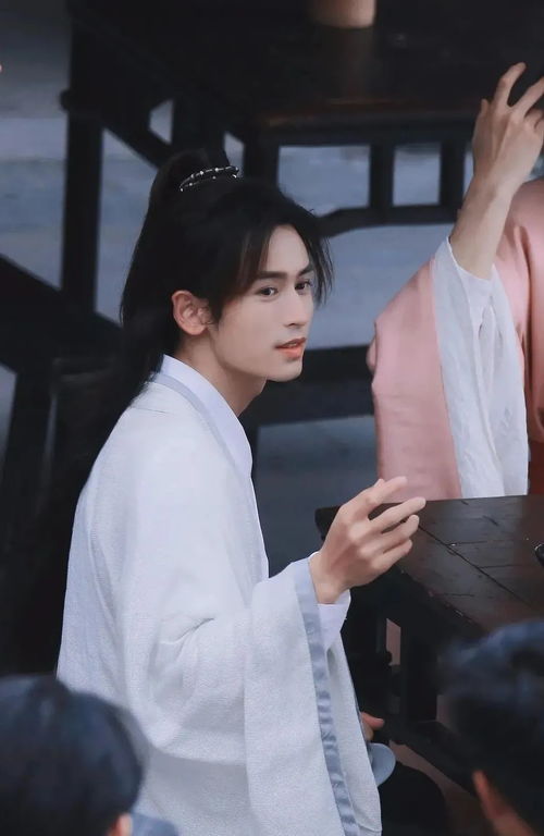 張哲瀚屬什么
