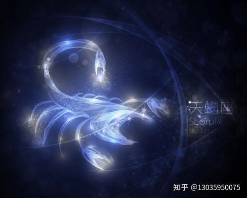 金天蝎適合什么星座的人