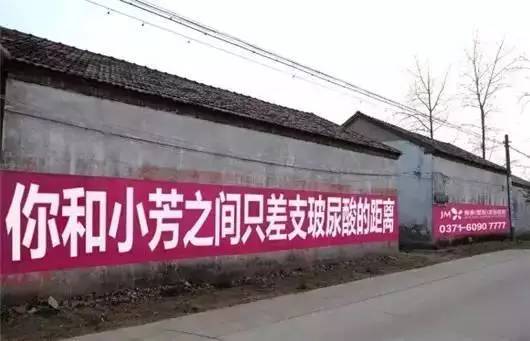 農(nóng)村什么項(xiàng)目能賺錢的多啊