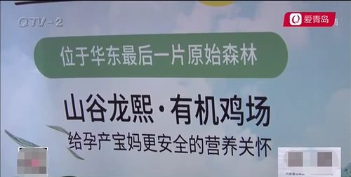 適合玩什么項(xiàng)目賺錢快一點(diǎn)