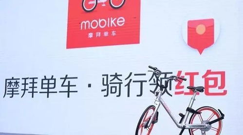 有車可賺錢的項目叫什么來著
