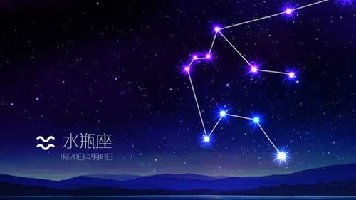 張極什么星座?