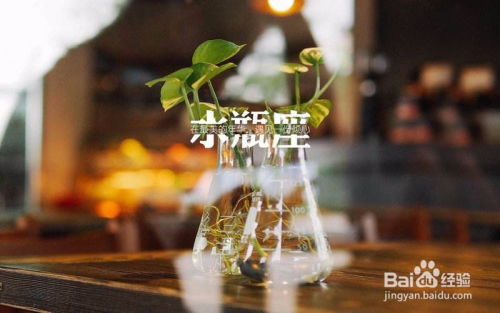 水瓶和什么星座合適