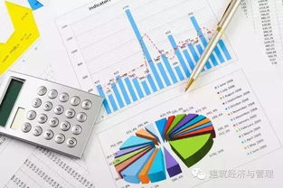 項目部做什么