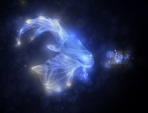 摩羯什么風(fēng)向星座最好