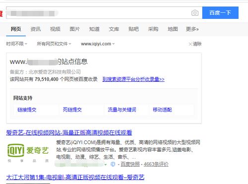 ip賺錢項目是什么意思啊