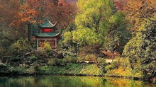 岳麓山做什么項(xiàng)目賺錢(qián)快呢