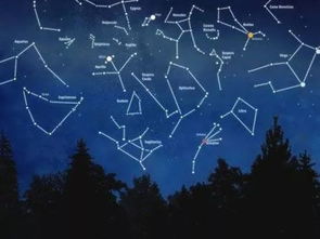 五月十一日是什么星座?