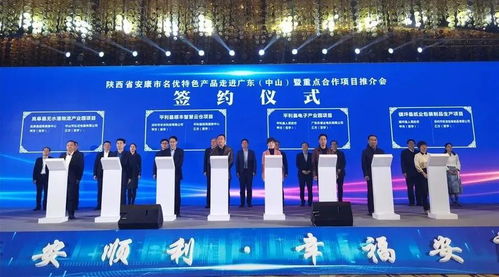 安康市有什么賺錢項目公司