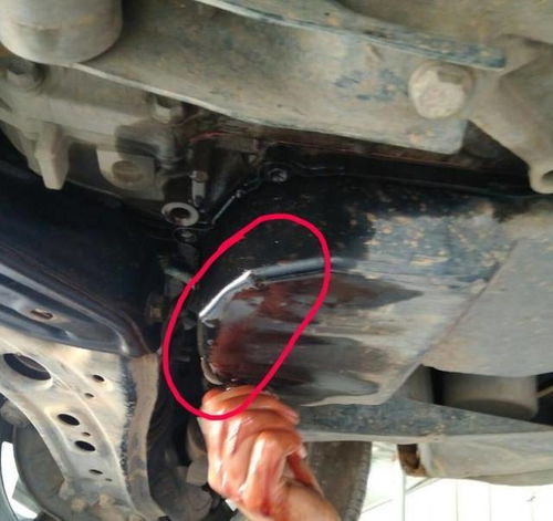 汽車換油底殼多少錢麻煩嗎