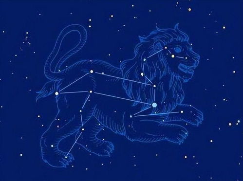 二月是什么星座的人