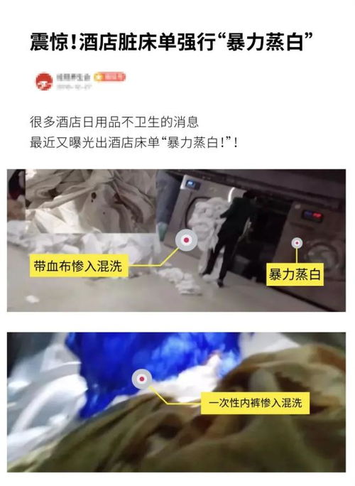 賓館里放什么東西賺錢(qián)