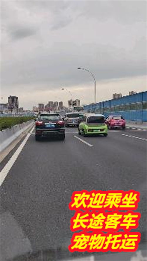 碭山到泗縣汽車多少錢啊