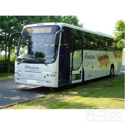 汽車托運(yùn)寵物要多少錢一公斤 汽車托運(yùn)寵物要多少錢一公斤
