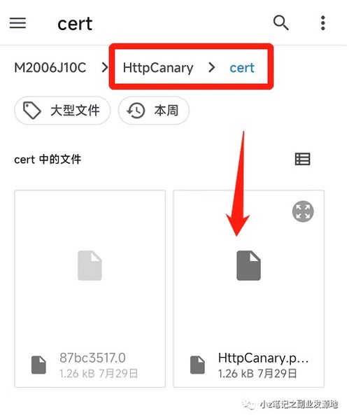 手機(jī)小黃鳥抓包工具怎么用