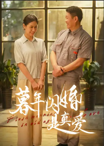 暮年閃婚是真愛（36集）