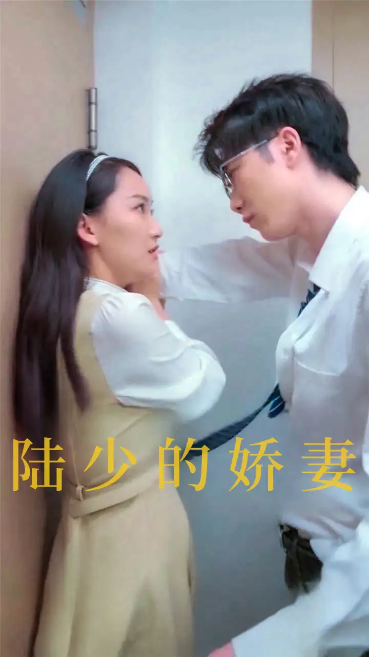 陸少的嬌妻（100集）