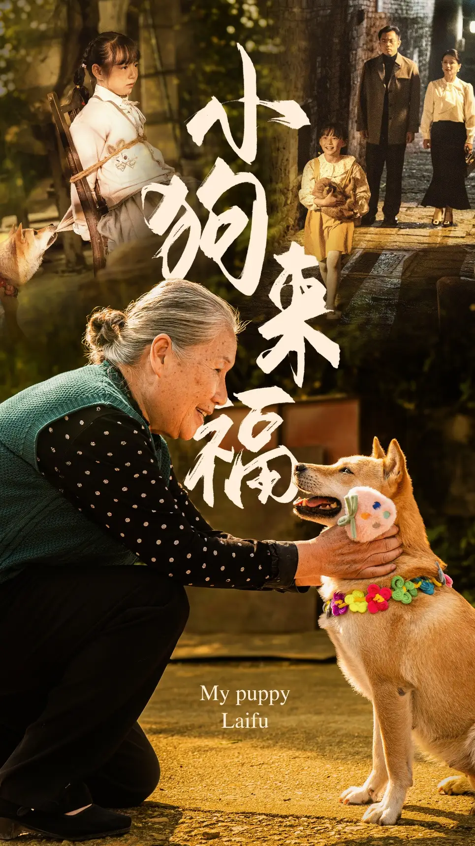 小狗來福（30集）