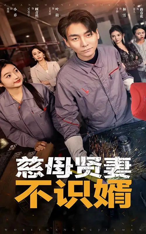 慈母賢妻不識婿（45集）