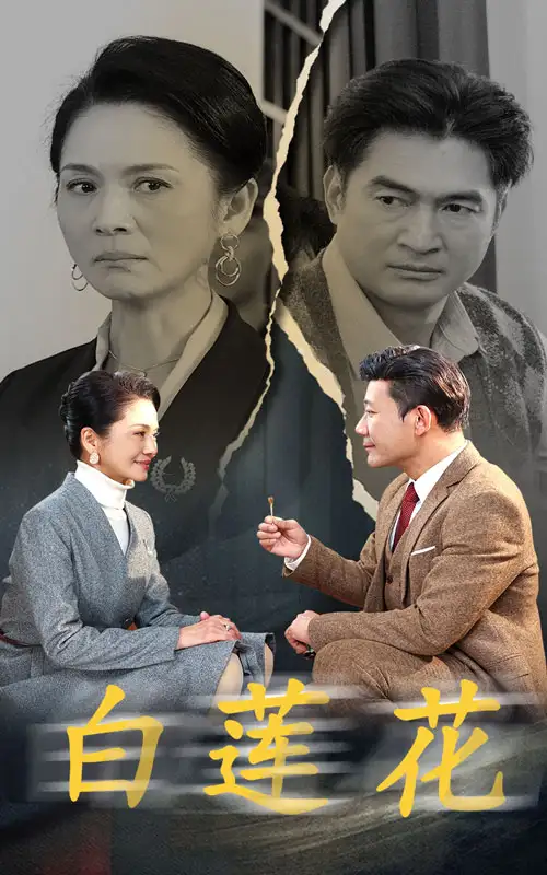 白蓮花（40集）