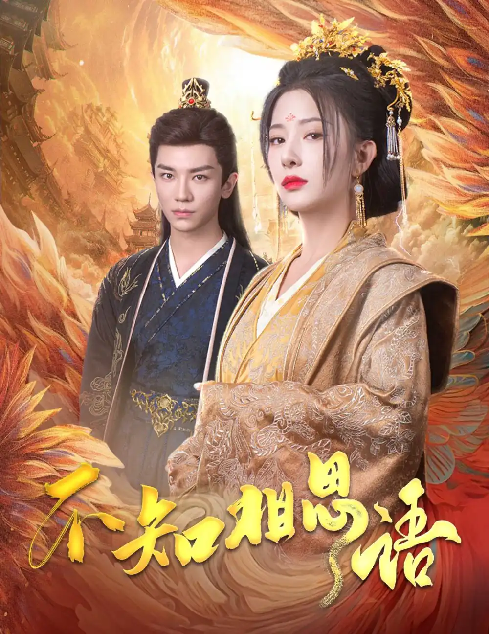 不知相思語(yǔ)&風(fēng)起相府（60集）安子楊&楊晨璐