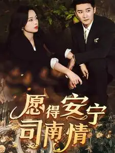 愿得安寧司南情（76集）