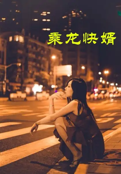 乘龍快婿（30集）擦邊劇